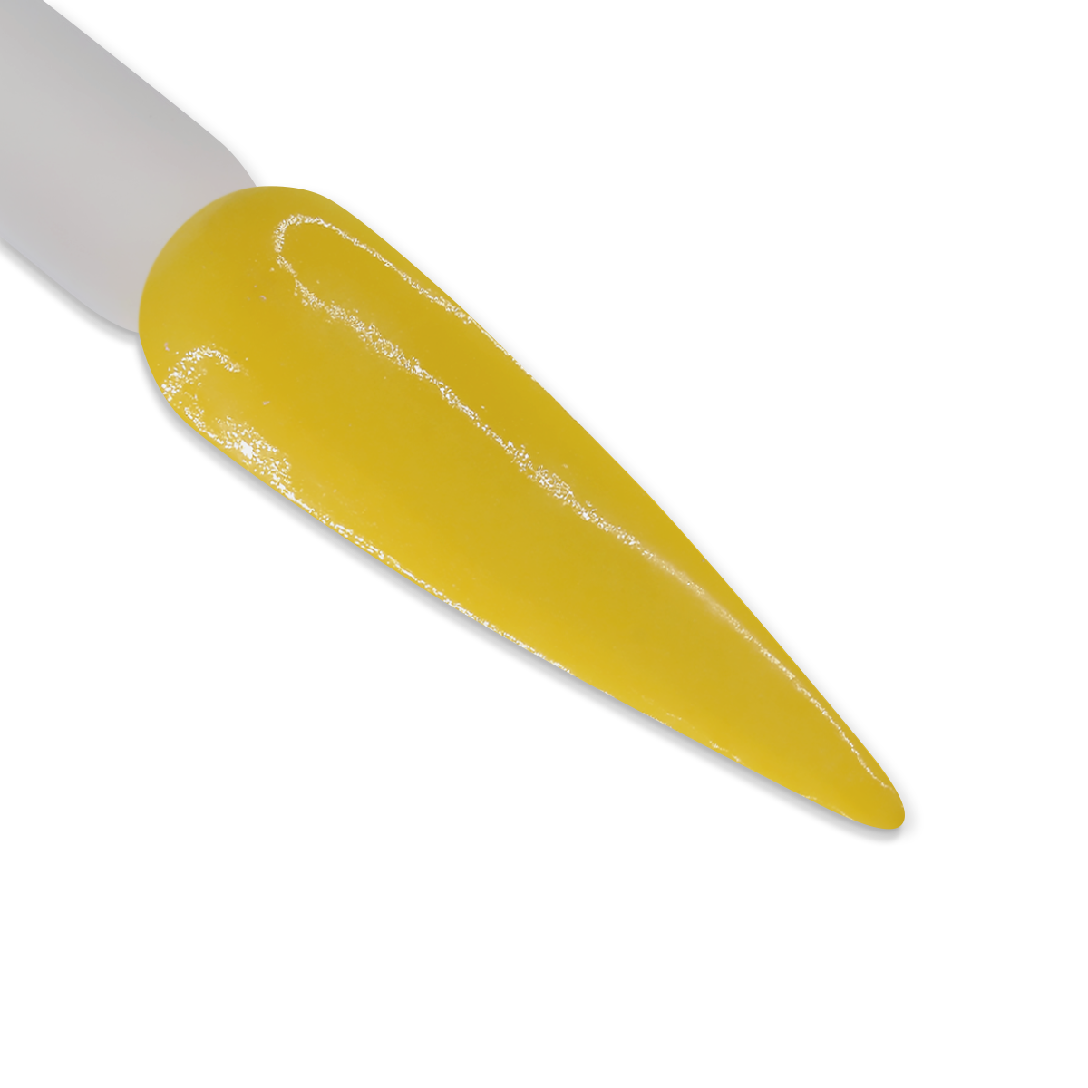 DD225 WE BEE-LONG TOGETHER