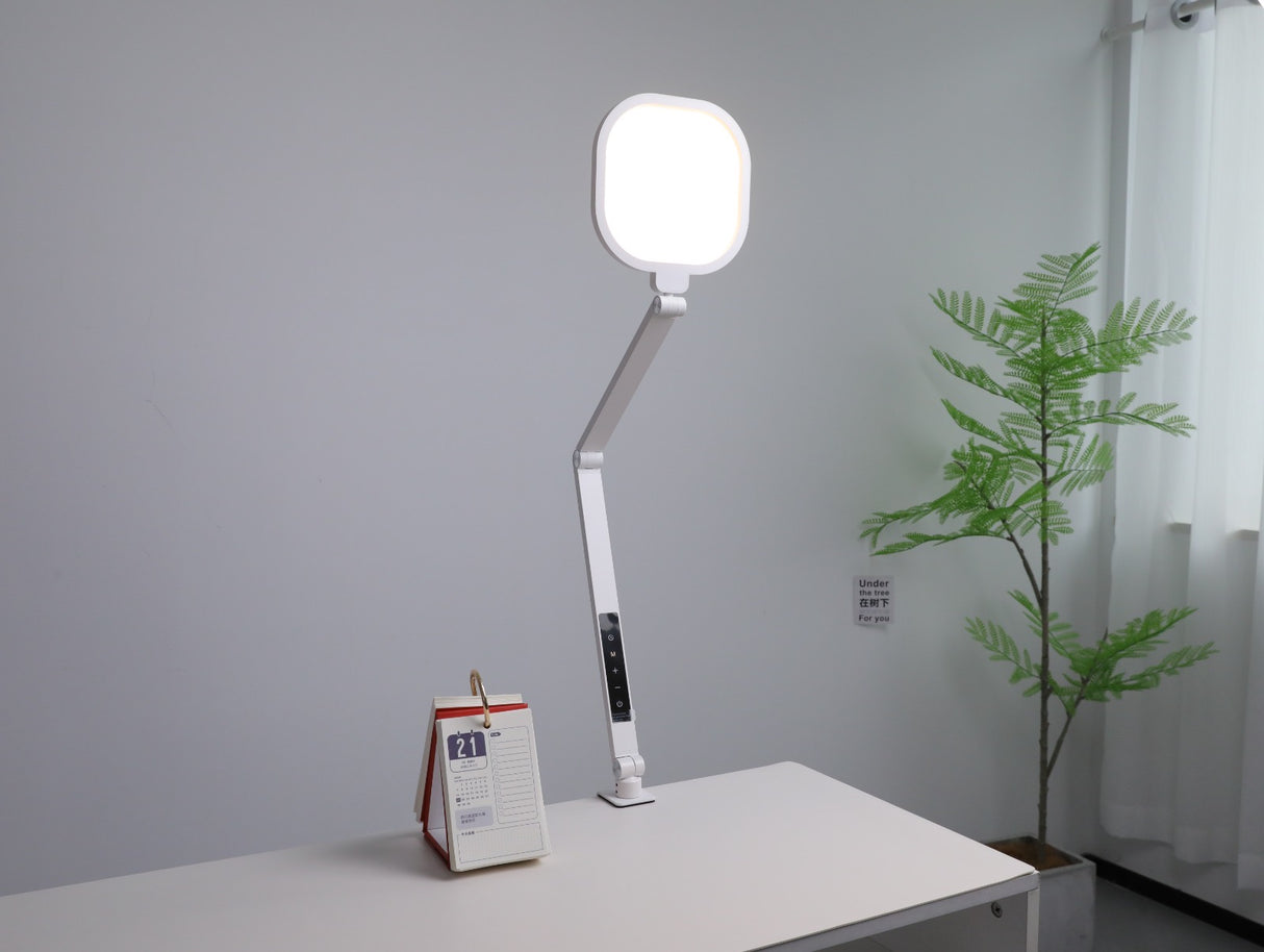 Table Lamp - Clamp On
