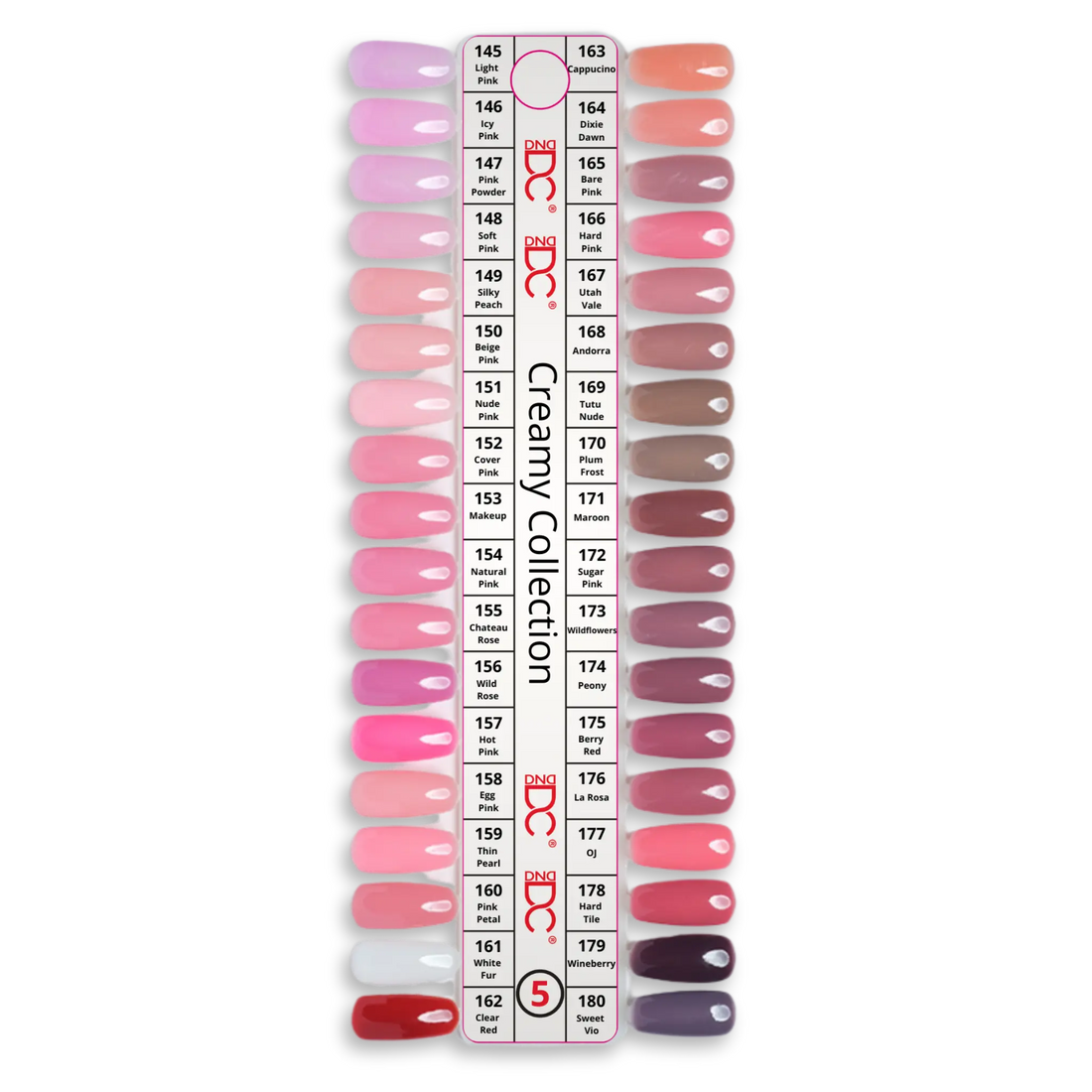 DC #5 Creamy Collection Swatch - Single
