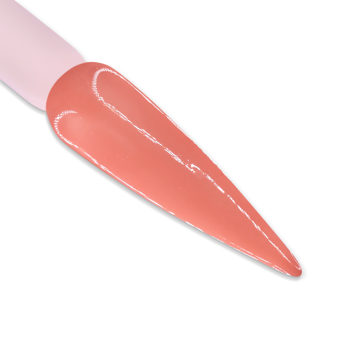 DD026 - SHY PINK