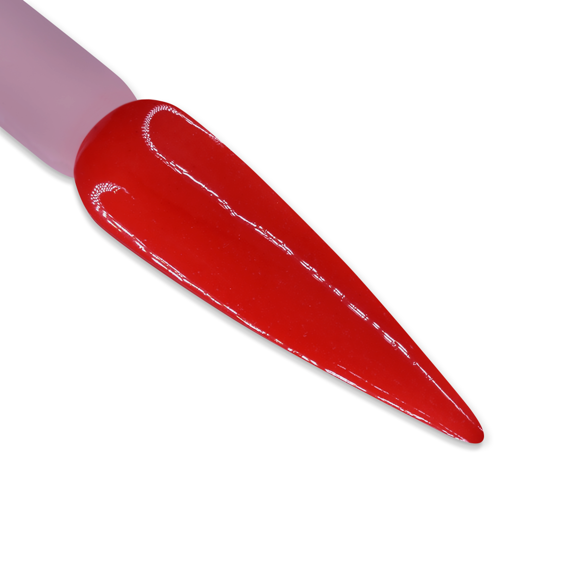 DD039 CHILI PEPPER