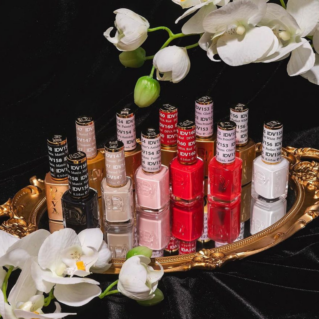 DIVA #5 Prima Donna Collection Swatch – Single