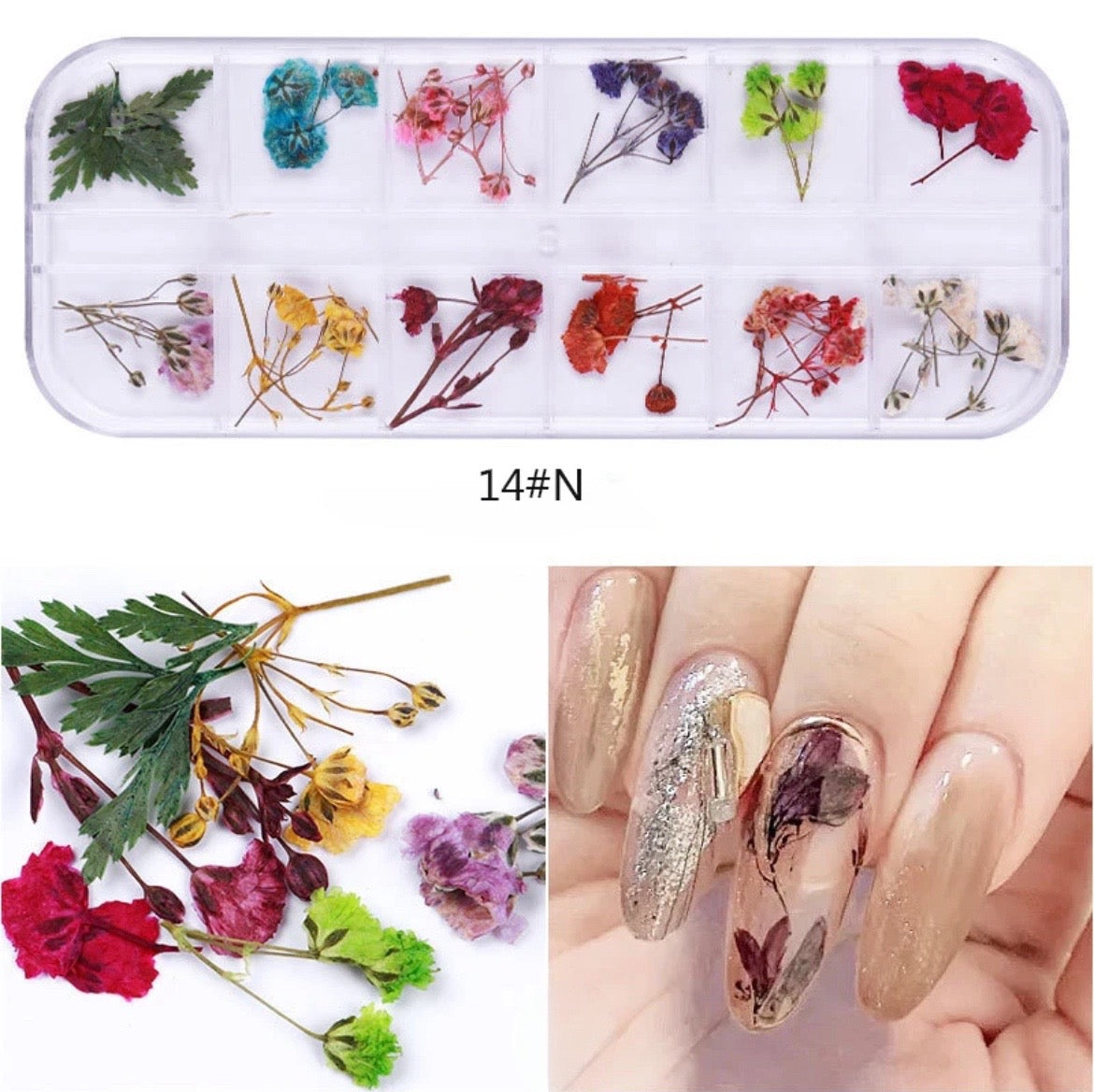 Dry Nature - 12 Style