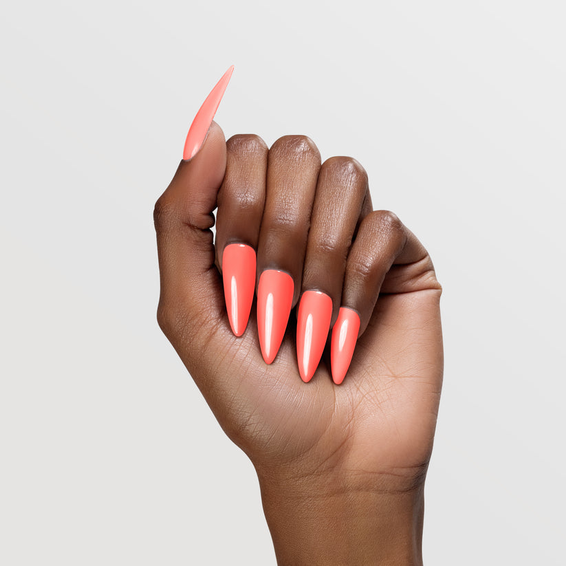 LG5169 - Pad-Thai And Chill