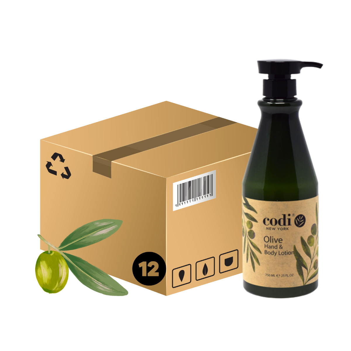 *Case (12pc) Hand & Body Lotion Olive 750ml - w/Pump