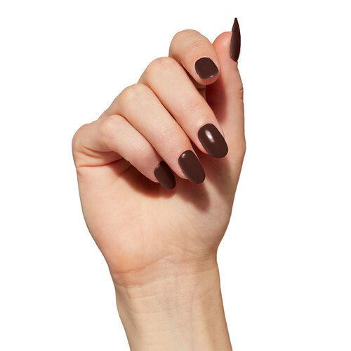 KNGP012 - Cocoa Powder