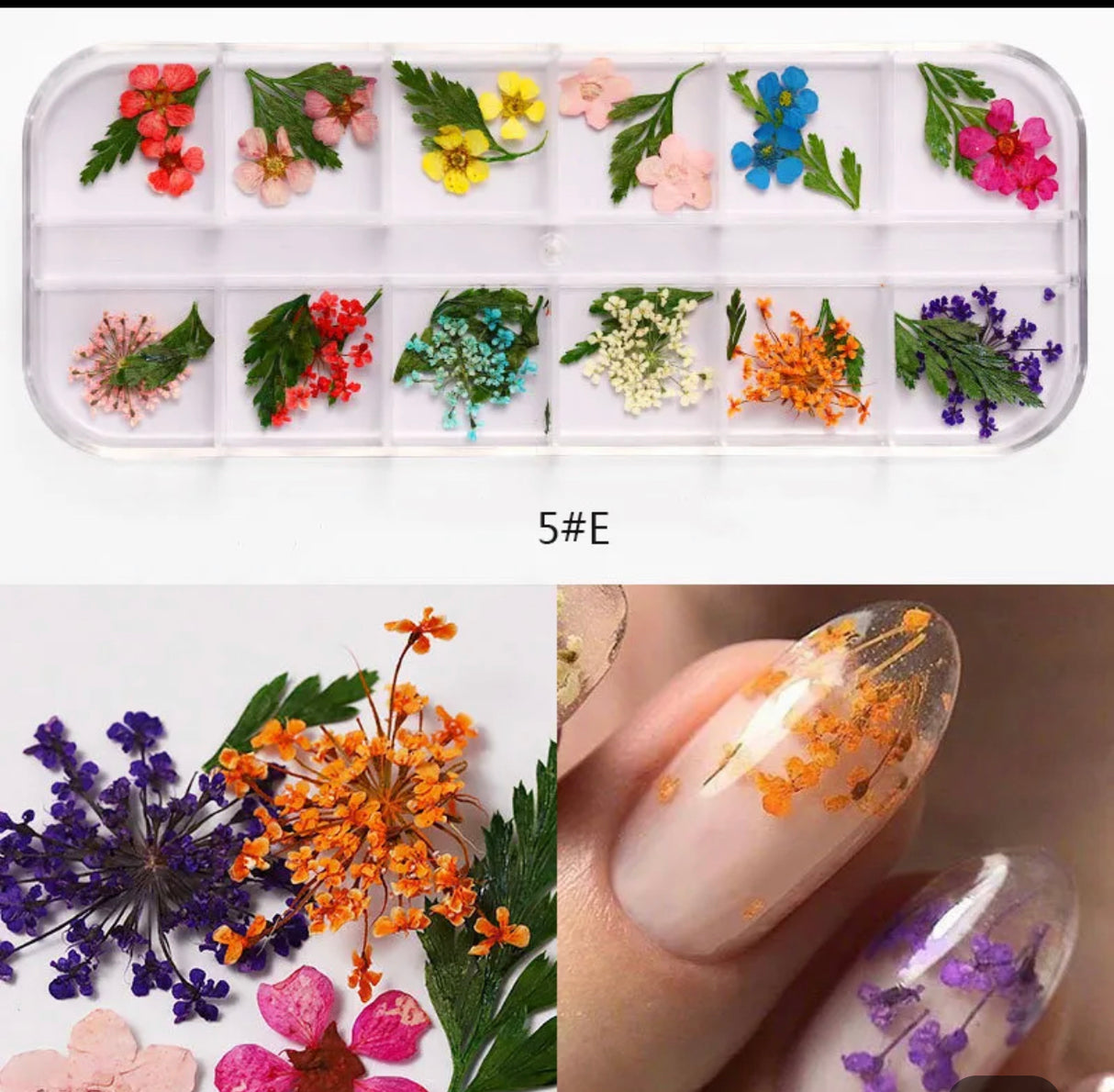 Dry Nature - 12 Style