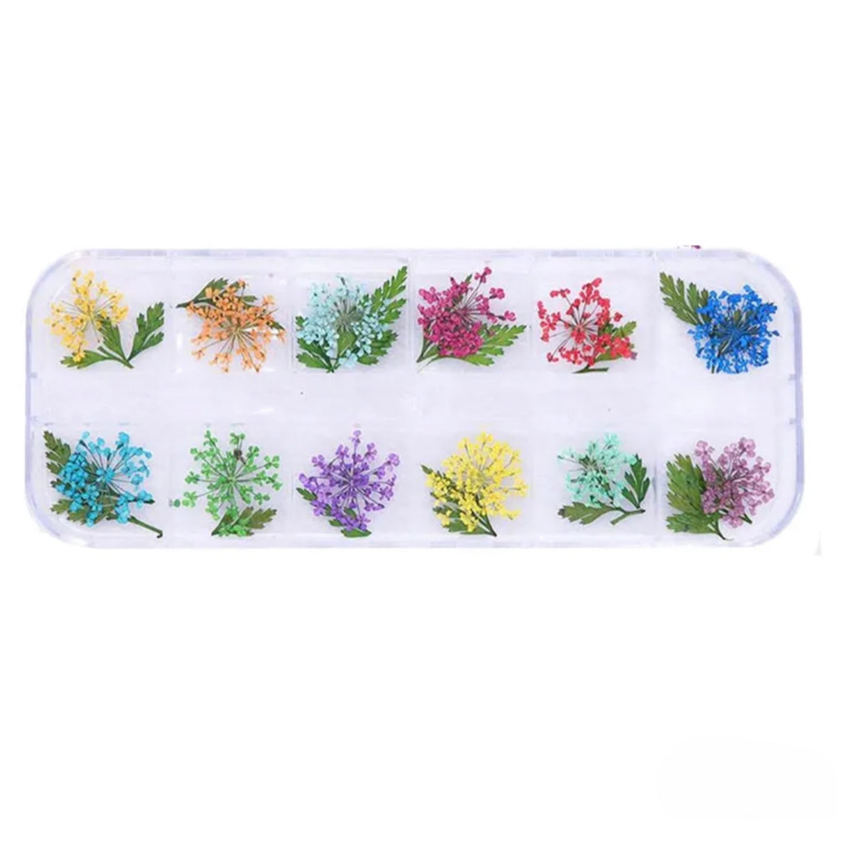 Dry Nature - 12 Style