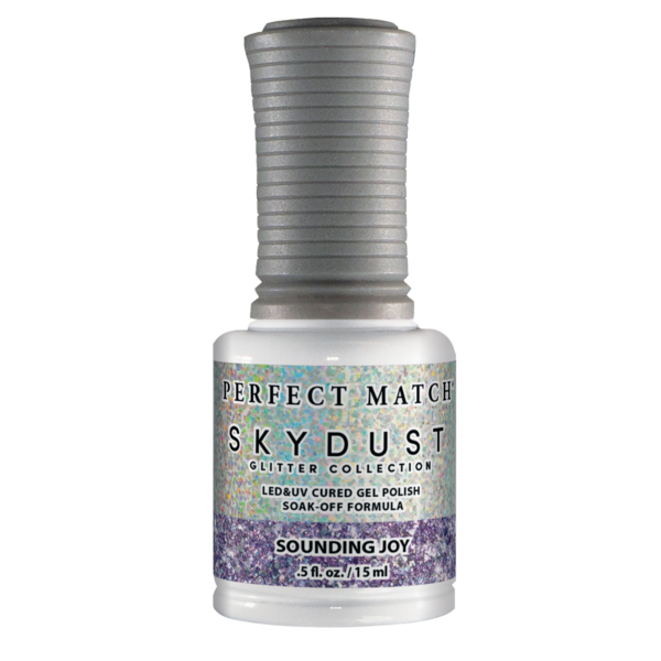 SDMS13 Sounding Joy - Sky Dust Duo