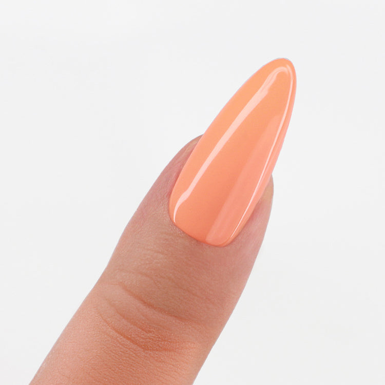 Apricot Splash - Duo