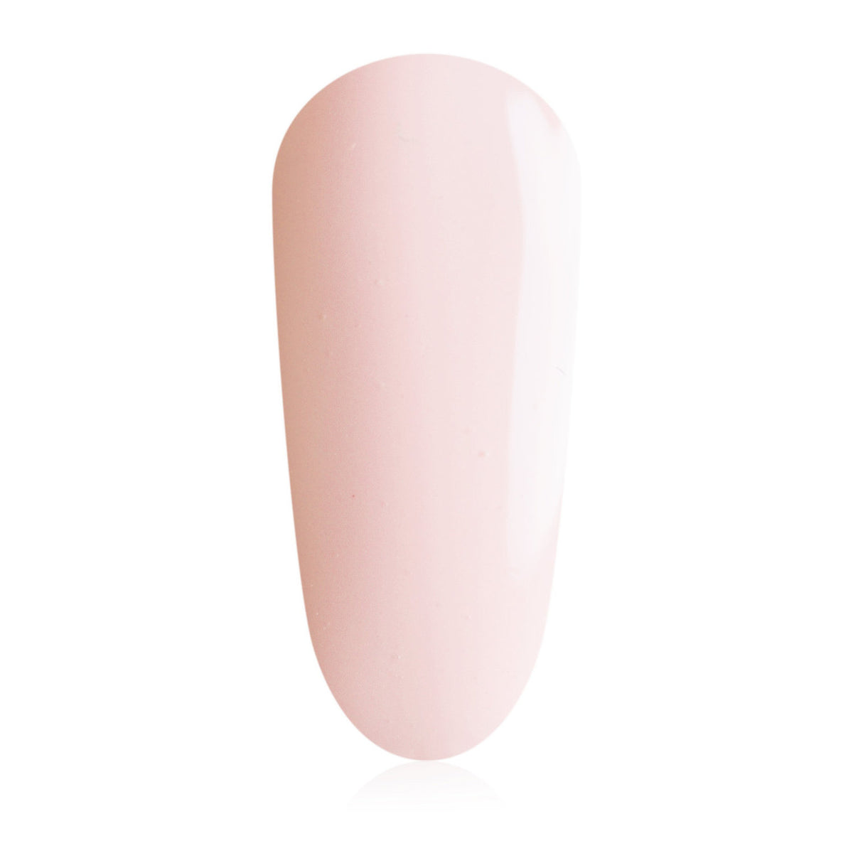 B20 - 20ml