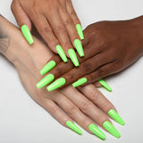 Lime Pop - 204