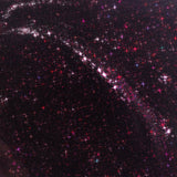 Night Bloom - FG19