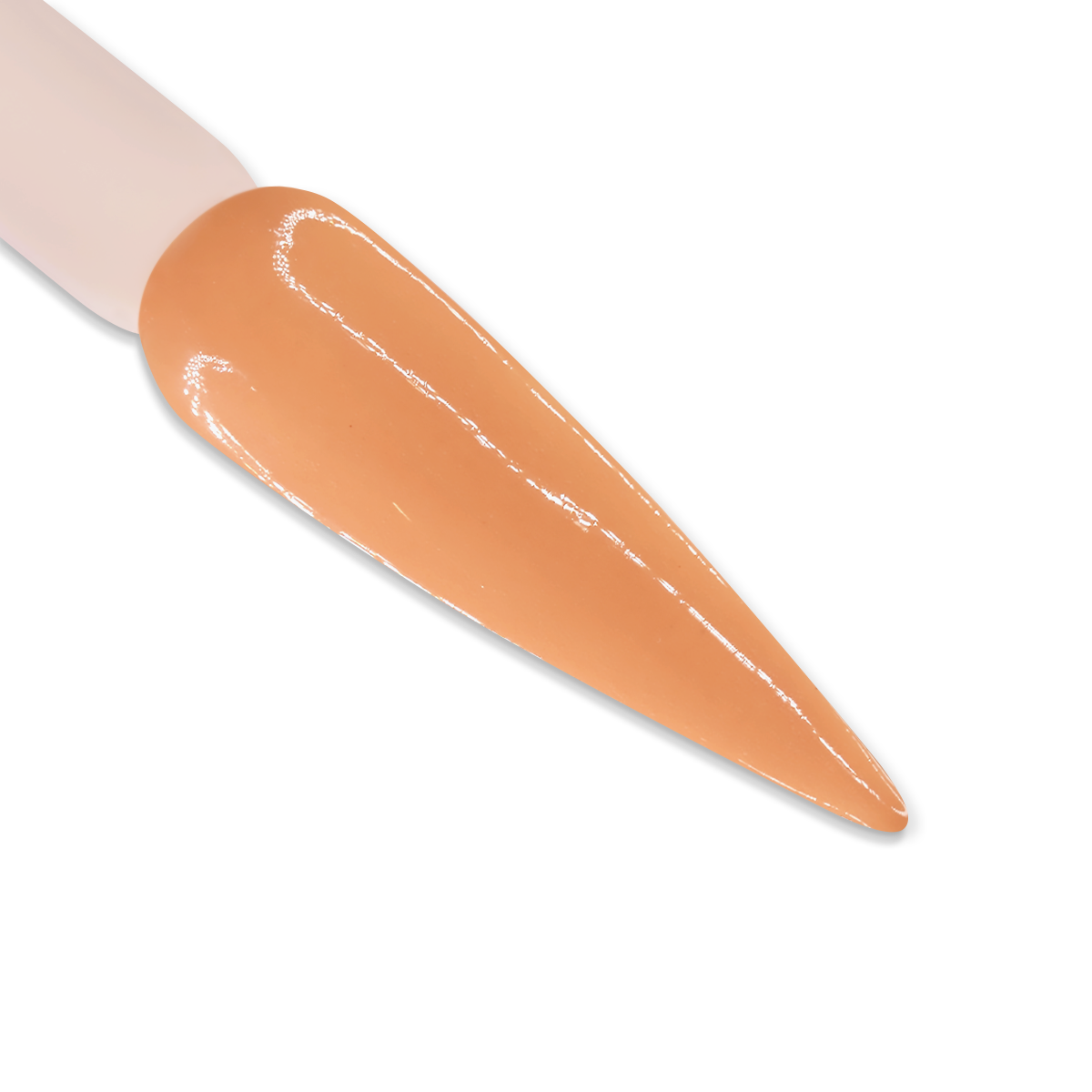 DD025 - ARIZONA TAN