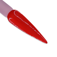 DD039 CHILI PEPPER