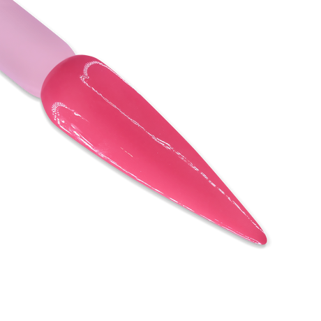 DD049 LA ROSA