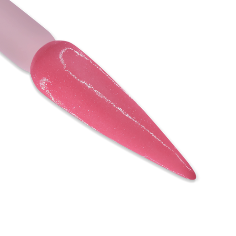 DD143 ITALIAN ROSE