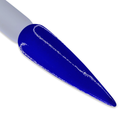 DD219 I GOT THE BLUES