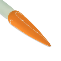 DD226 24 CARROT