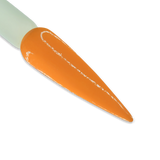 DD226 24 CARROT