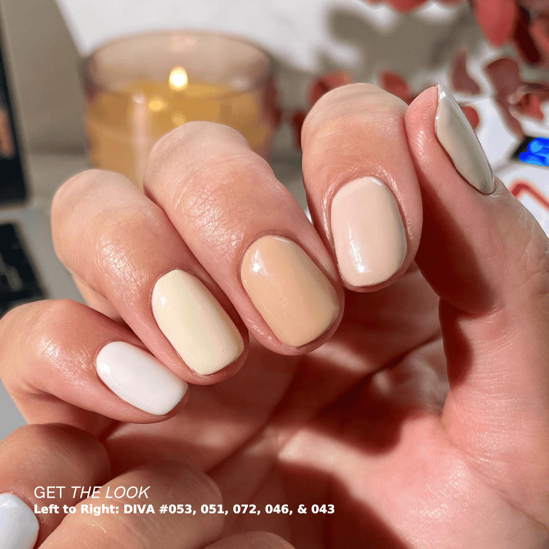 DIVA #2 Frosted Chai Collection Swatch – Single