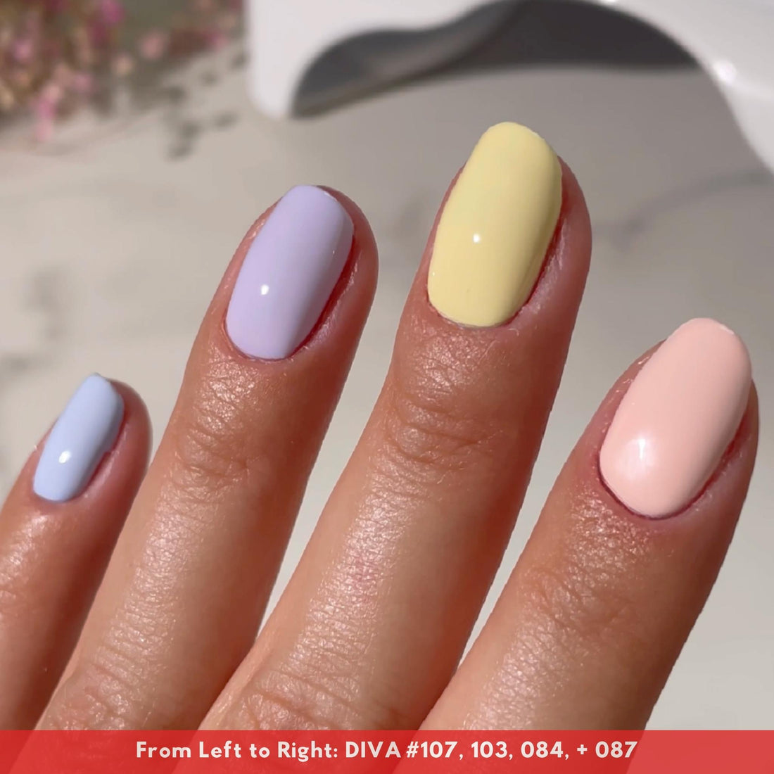 DIVA #3 Coquette Collection Swatch – Single