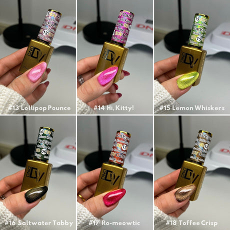 *Bundle DIVA 9D Cat Eye Candy – 12 Set