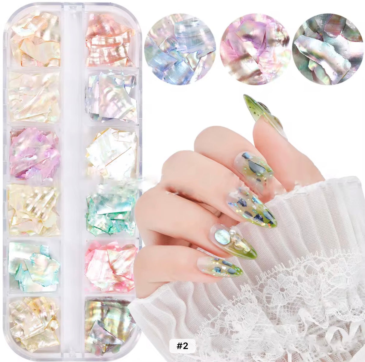12 Colors  Irregular  Slices Sea Shell #2
