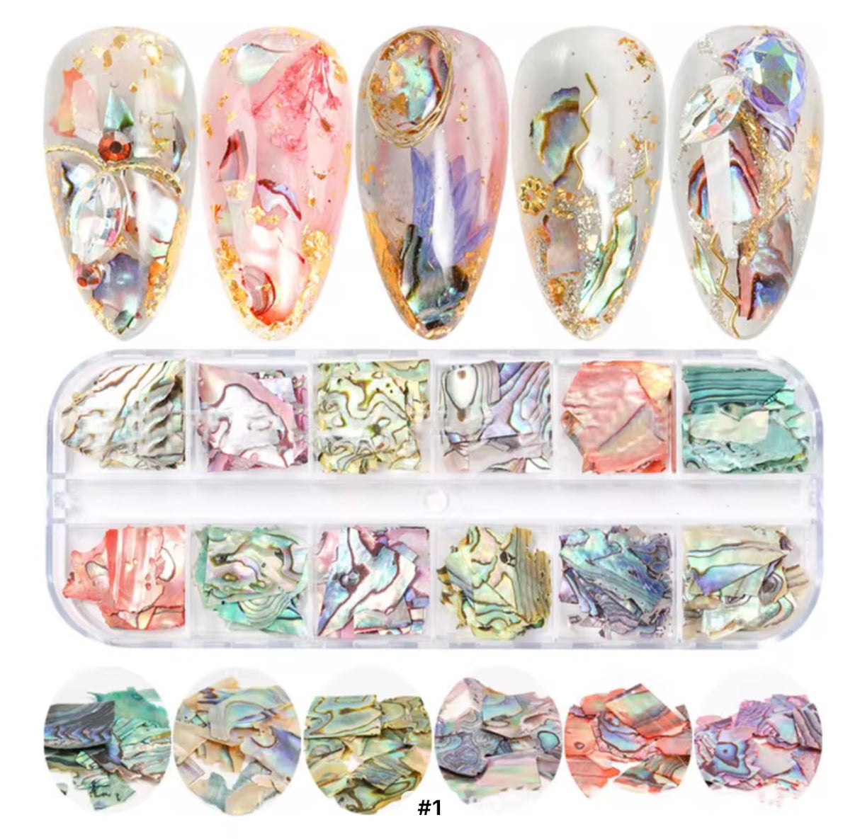 12 Colors  Irregular  Slices SeasShell #1
