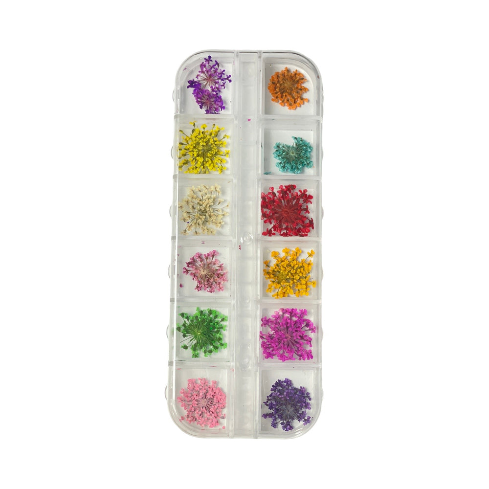 12 Grids Colorful Nature Dried #05