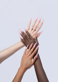 VBP Acrylic System - Prettiest Pink