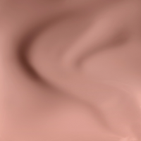 Vintage Carnation - N04