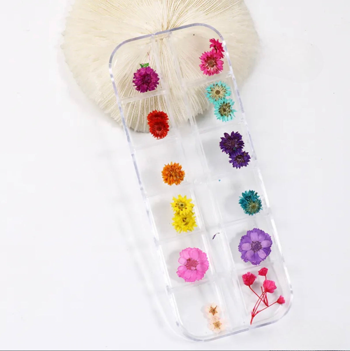 Dry Nature - 12 Style