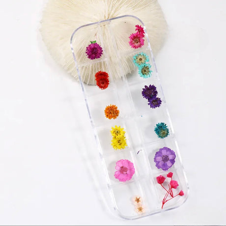 Dry Nature - 12 Style