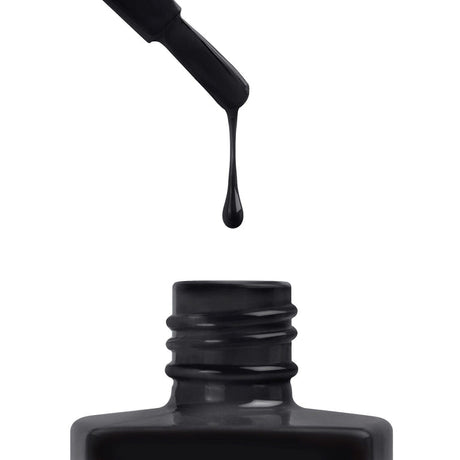 BIRNAM WOOD - 344 | Black