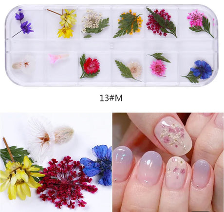 Dry Nature - 12 Style