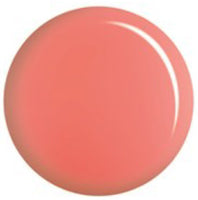 Dixie Dawn #164- DC Gel Duo