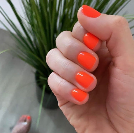 Hot Mess #272 - DC Gel Duo