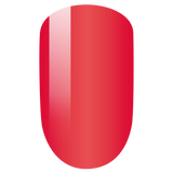 PMDP024 Cosmopolitan - 3in1 Gel Dip Acrylic  42gm