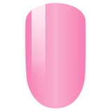 PMDP025 Pink Lady - 3in1 Gel Dip Acrylic  42gm