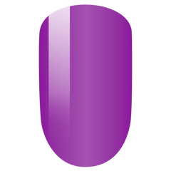 PMDP102 Violetta - 3in1 Gel Dip Acrylic  42gm