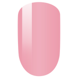 PMDP213 Babydoll - 3in1 Gel Dip Acrylic  42gm