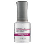 PMS282 Hawaiian Punch - Gel Polish & Nail Lacquer 1/2oz.