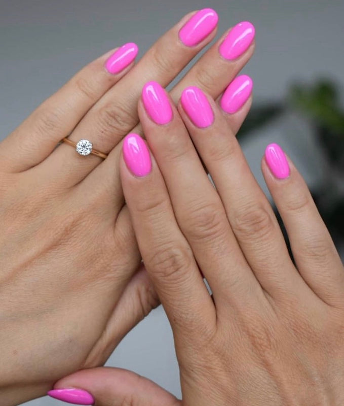 Painted Daisy #286- DC Gel Duo