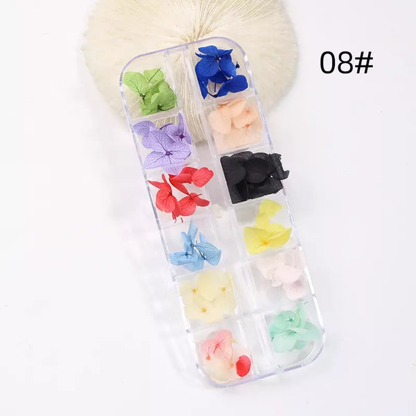 12 Grids Colorful Nature Dried #2