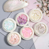 6 Color Irregular Shell