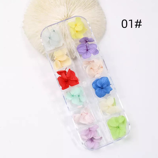 12 Grids Colorful Nature Dried #1