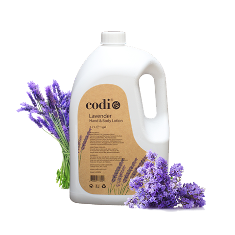 Codi Hand & Body Lotion  Lavender 1 Gallon